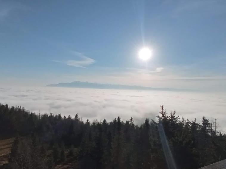 Noclegi U Lidii Ochotnica Górna Εξωτερικό φωτογραφία