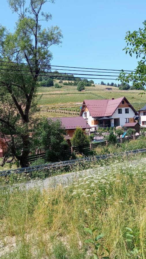 Noclegi U Lidii Ochotnica Górna Εξωτερικό φωτογραφία
